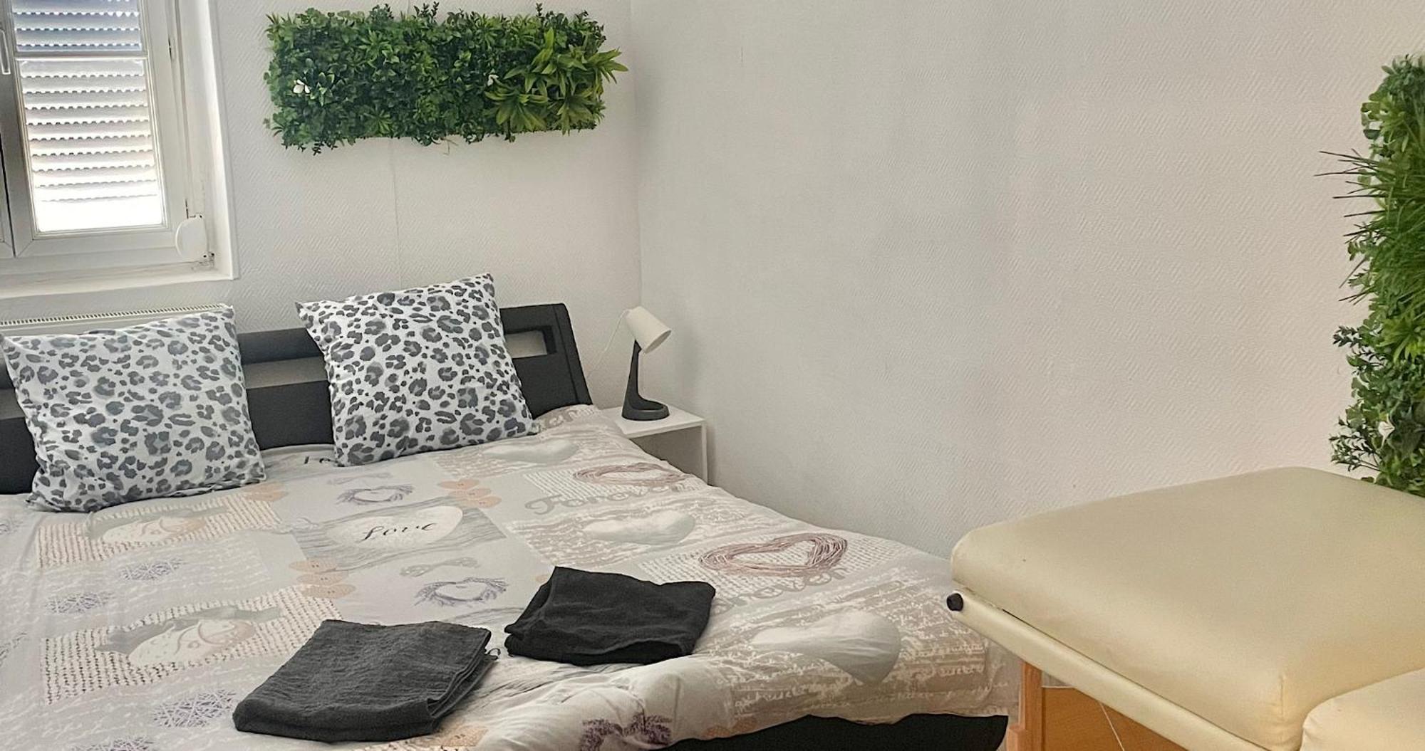 Appartement Cosy Lyon Villeurbanne